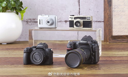 當經典專業相機“迷你”化 尼康Z50 II、D850與“1/3比例”相機的想象之旅